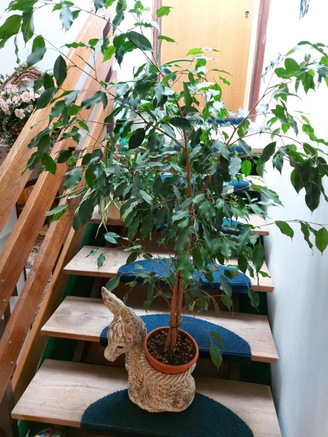 Apartma Reich Apartment Ptuj Bagian luar foto
