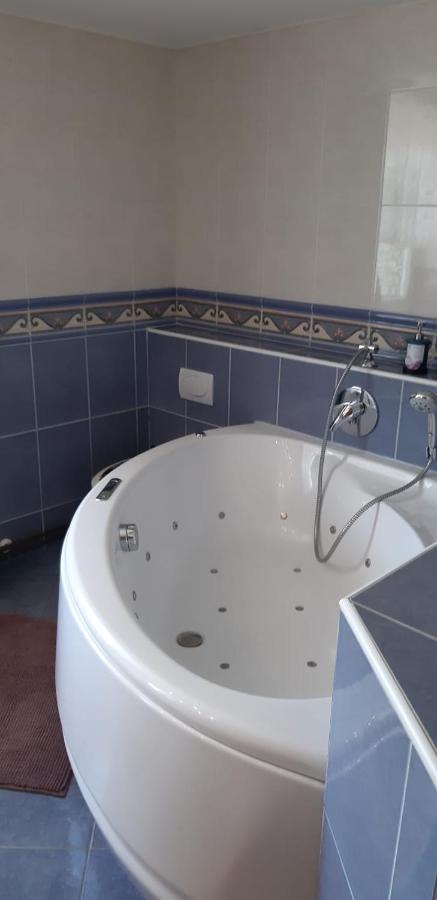 Apartma Reich Apartment Ptuj Bagian luar foto